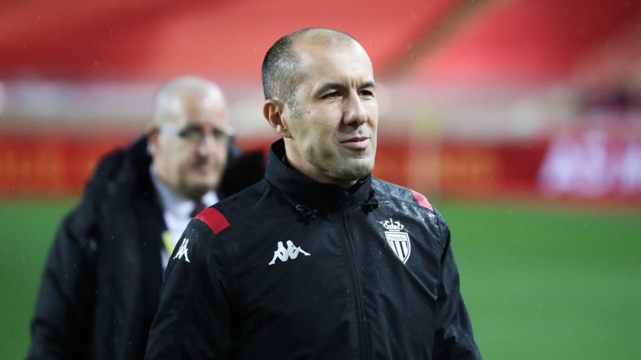 Jardim tem carta branca para escolher chefe da preparação física; decisão prevista para a próxima Data Fifa